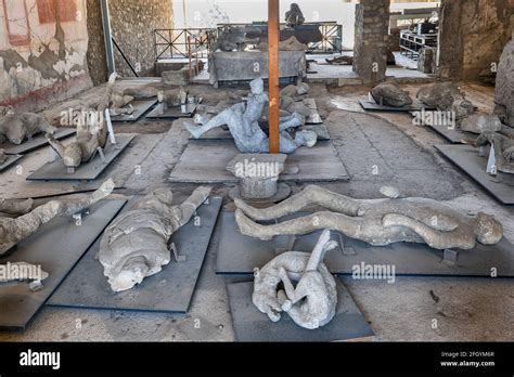 which volcano destroyed|Pompeii: Bodies, Mount Vesuvius & Herculaneum .